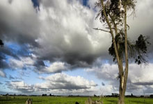 企业咨询公司经营范围怎么填写，企业咨询有限公司经营范围