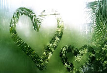 济南双泽翻译咨询有限公司，济南双泽翻译咨询有限公司电话