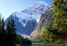 翻译咨询费用发票开具内容有哪些要求，翻译咨询服务费税收编码