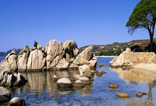 信息咨询公司工作内容，信息咨询公司工作内容描述