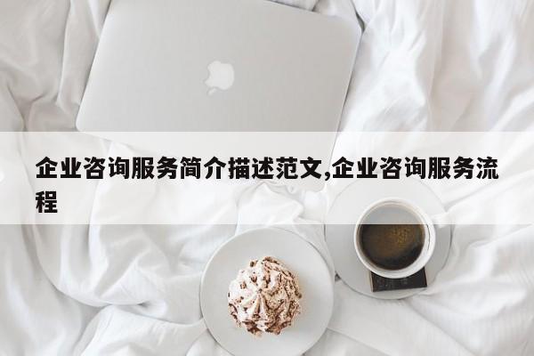 企业咨询服务简介描述范文,企业咨询服务流程