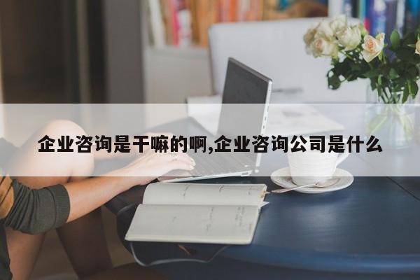 企业咨询是干嘛的啊,企业咨询公司是什么